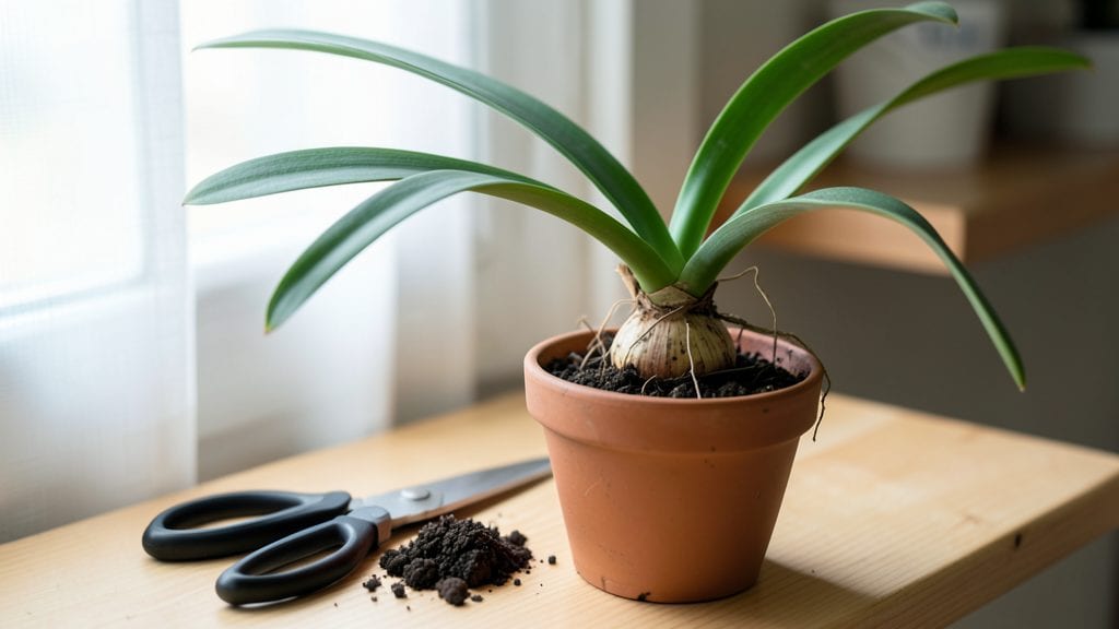 Pruning Amaryllis Plants: Revive Blooms with 3 Seasonal Trims